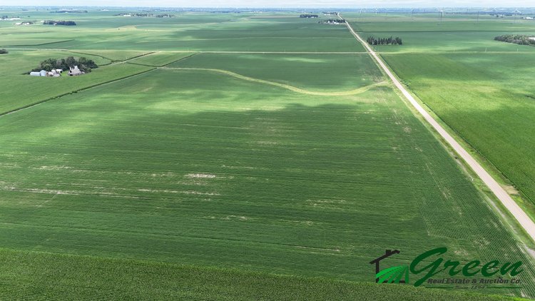 Image for Buena Vista County, IA Land Auction!