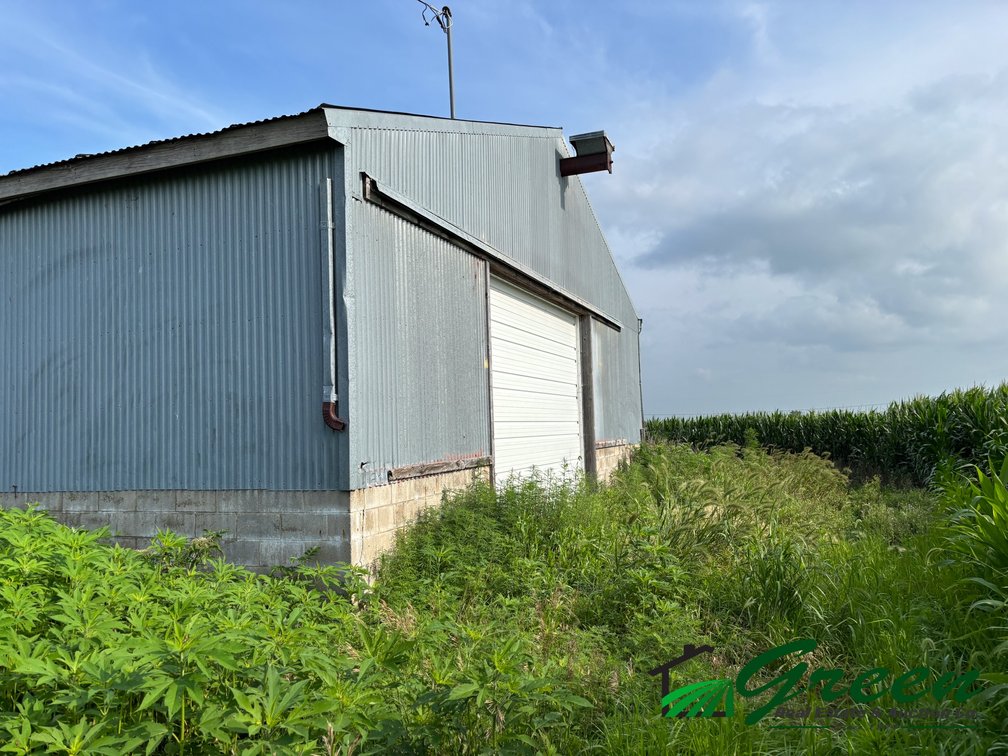 Image for Rockwell City Acreage Auction!