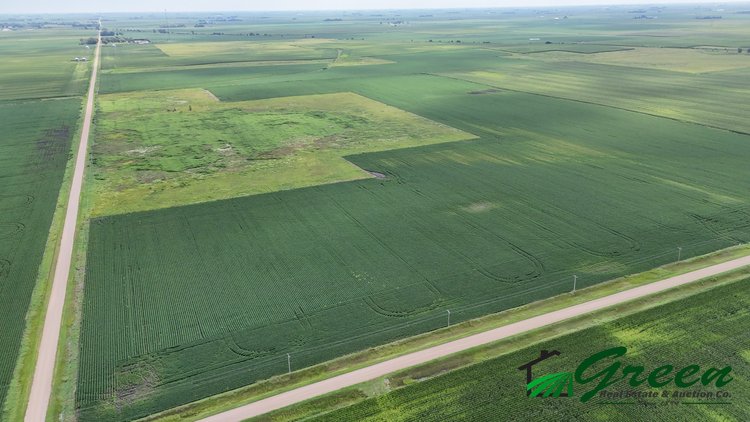 Image for Calhoun County Land Auction!