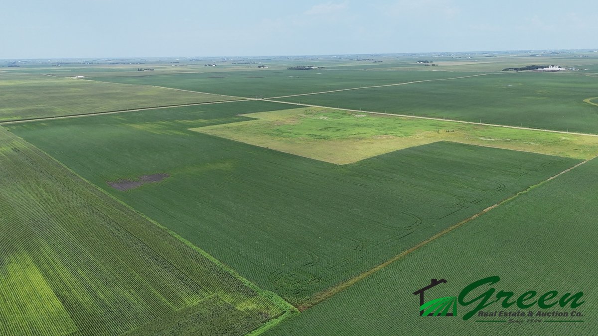 Image for Calhoun County Land Auction!