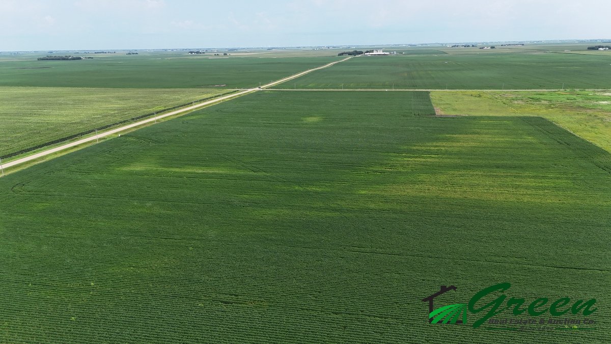 Image for Calhoun County Land Auction!