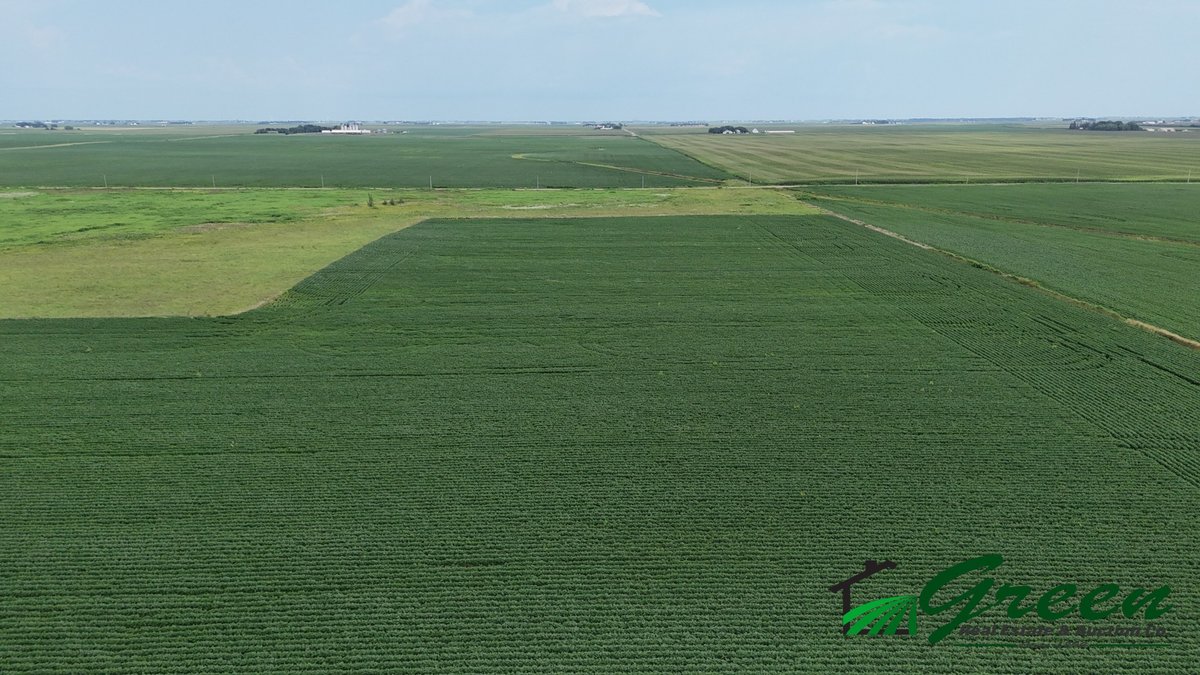 Image for Calhoun County Land Auction!