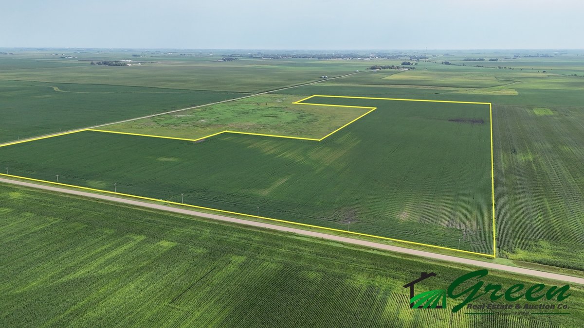 Image for Calhoun County Land Auction!