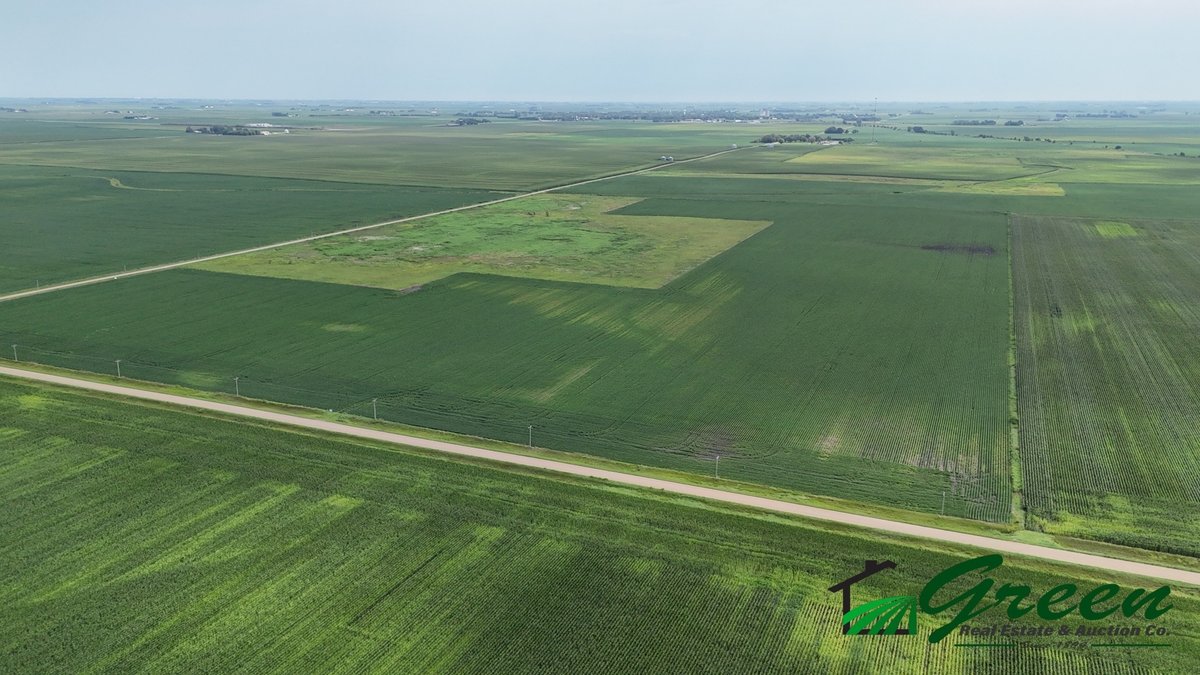Image for Calhoun County Land Auction!