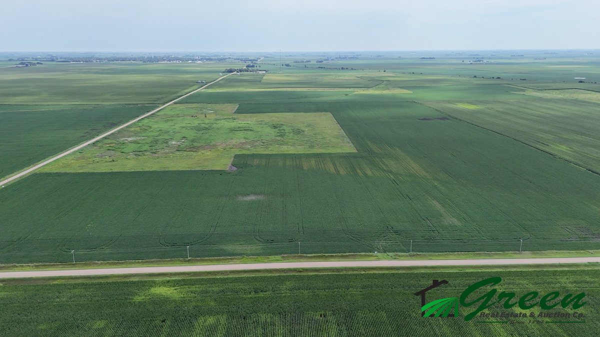Image for Calhoun County Land Auction!