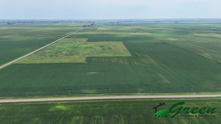 Image for Calhoun County Land Auction!