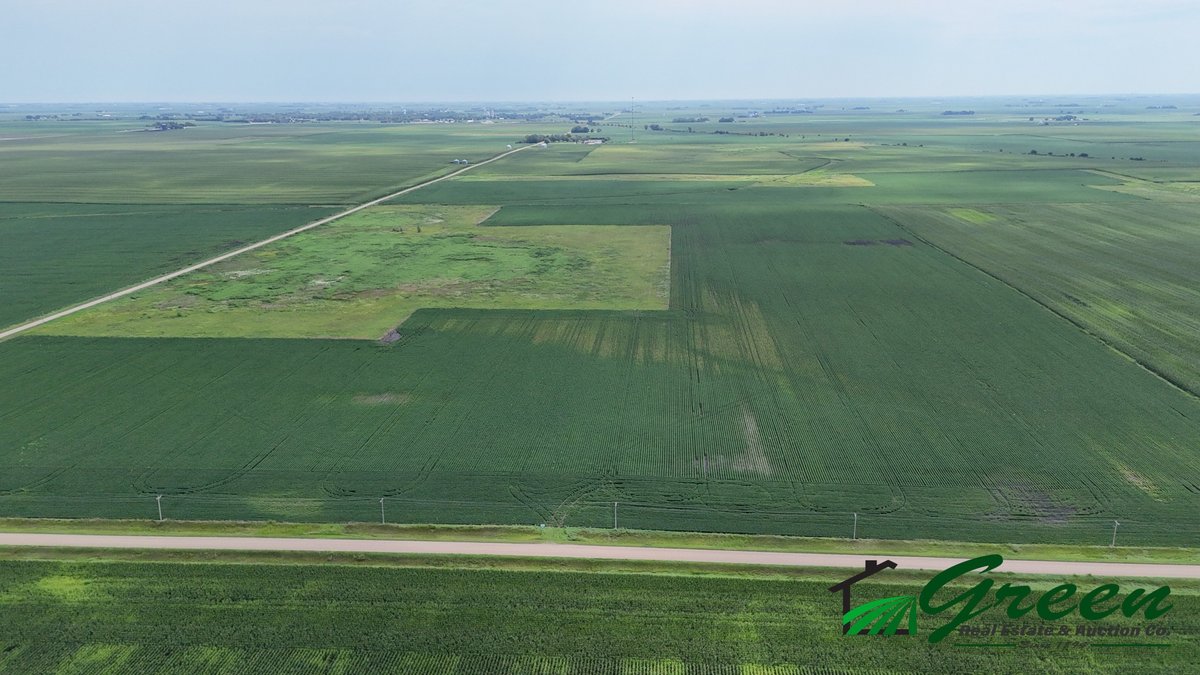 Image for Calhoun County Land Auction!