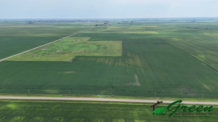 Image for Calhoun County Land Auction!