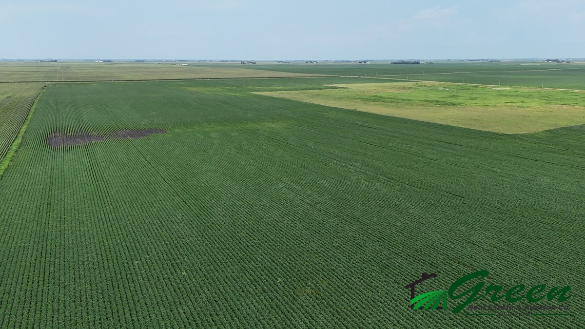 Image for Calhoun County Land Auction!
