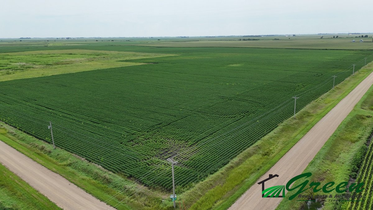 Image for Calhoun County Land Auction!
