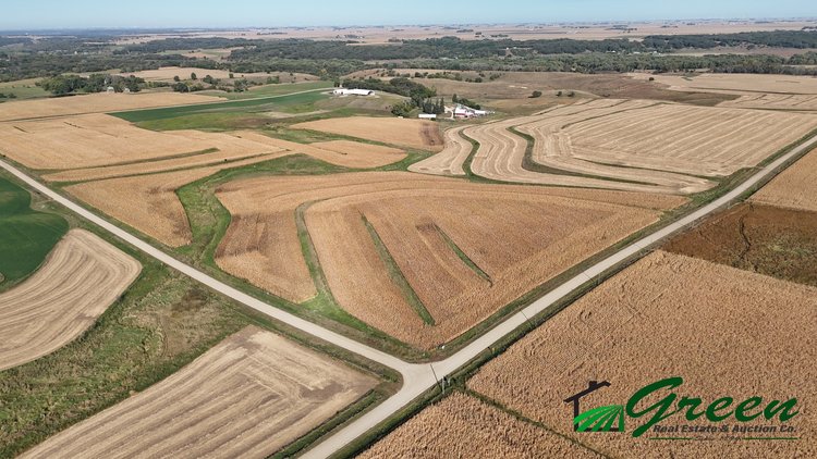 Image for Online Only Buena Vista County Iowa Farmland Auction!