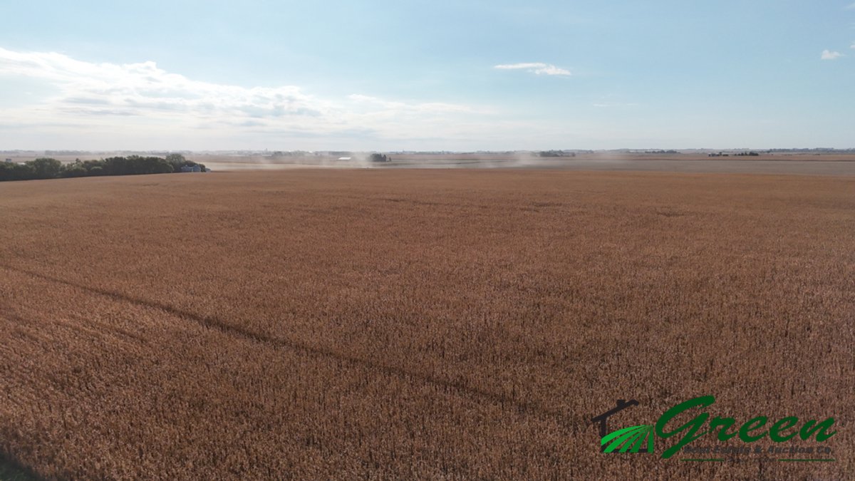 Image for Sac County, Iowa Farmland Auction!