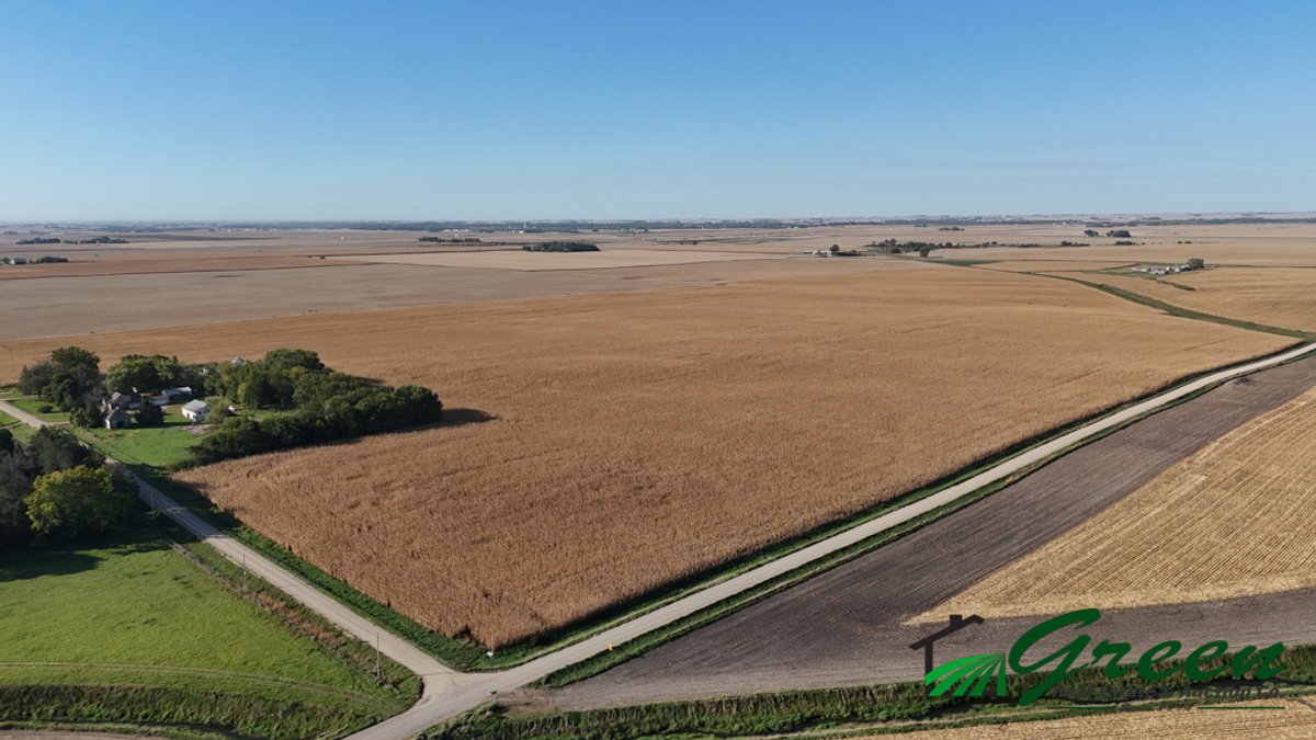Image for Sac County, Iowa Farmland Auction!