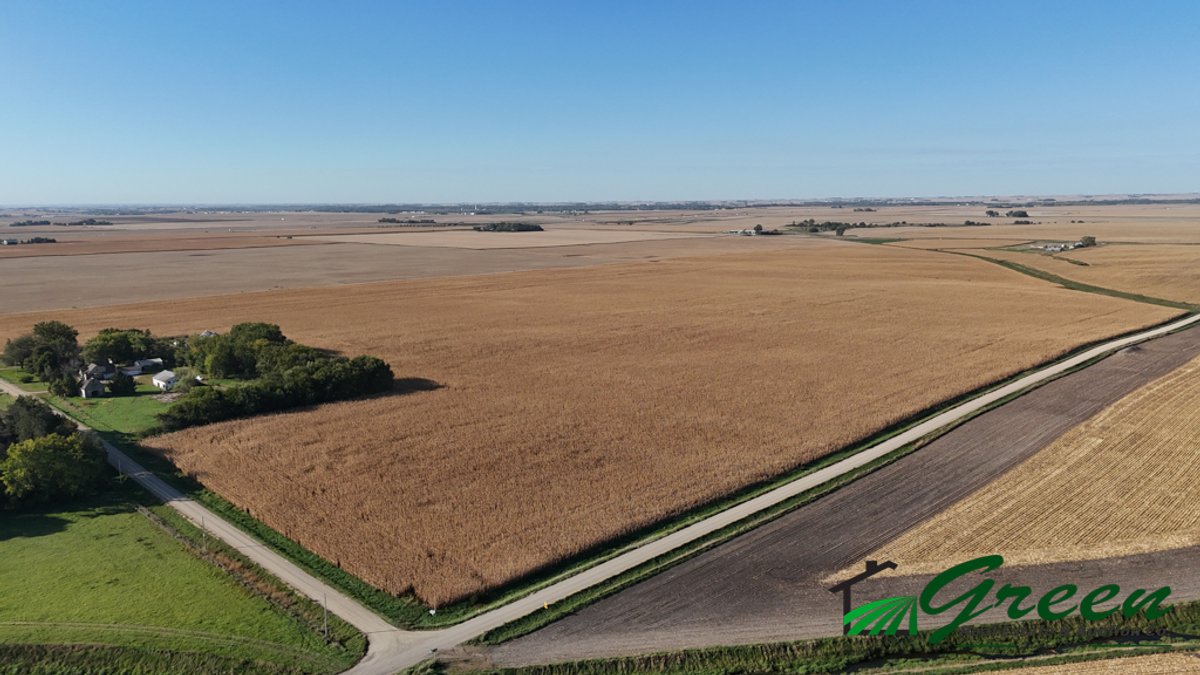 Image for Sac County, Iowa Farmland Auction!