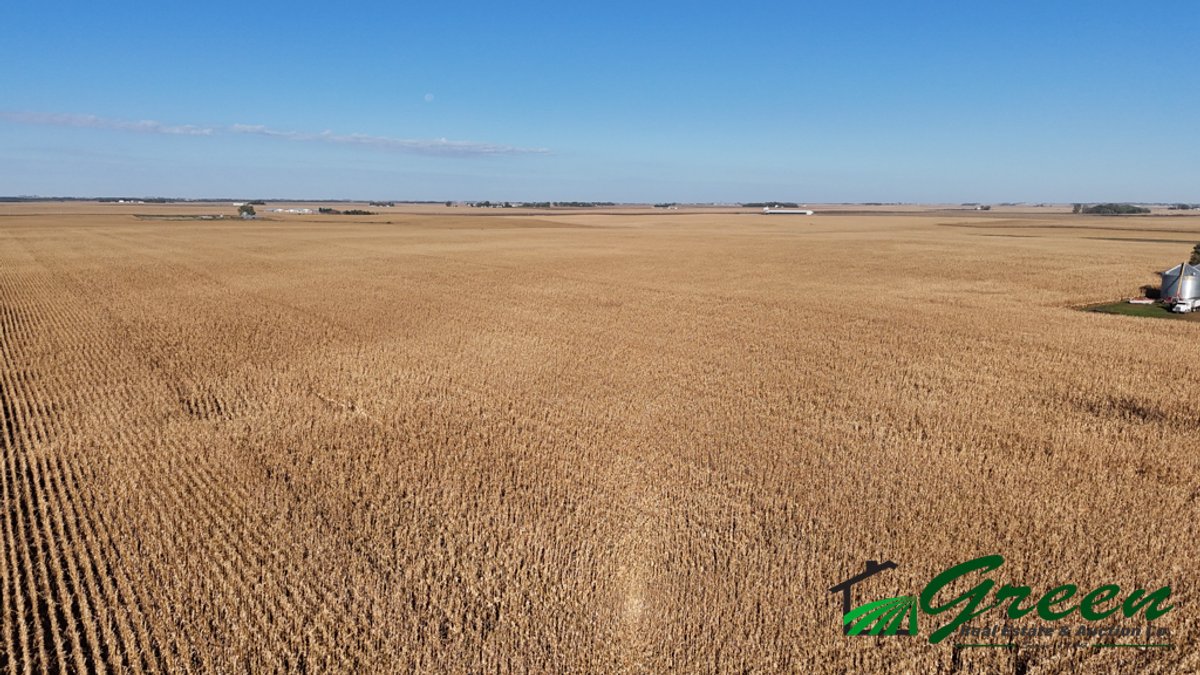 Image for Sac County, Iowa Farmland Auction!