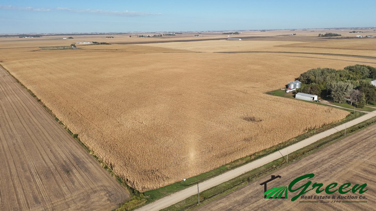 Image for Sac County, Iowa Farmland Auction!