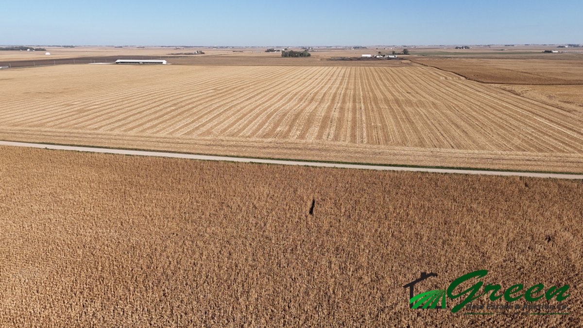 Image for Sac County, Iowa Farmland Auction!