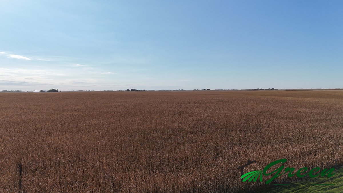 Image for Sac County, Iowa Farmland Auction!