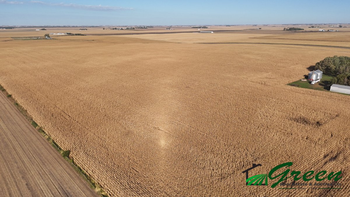 Image for Sac County, Iowa Farmland Auction!