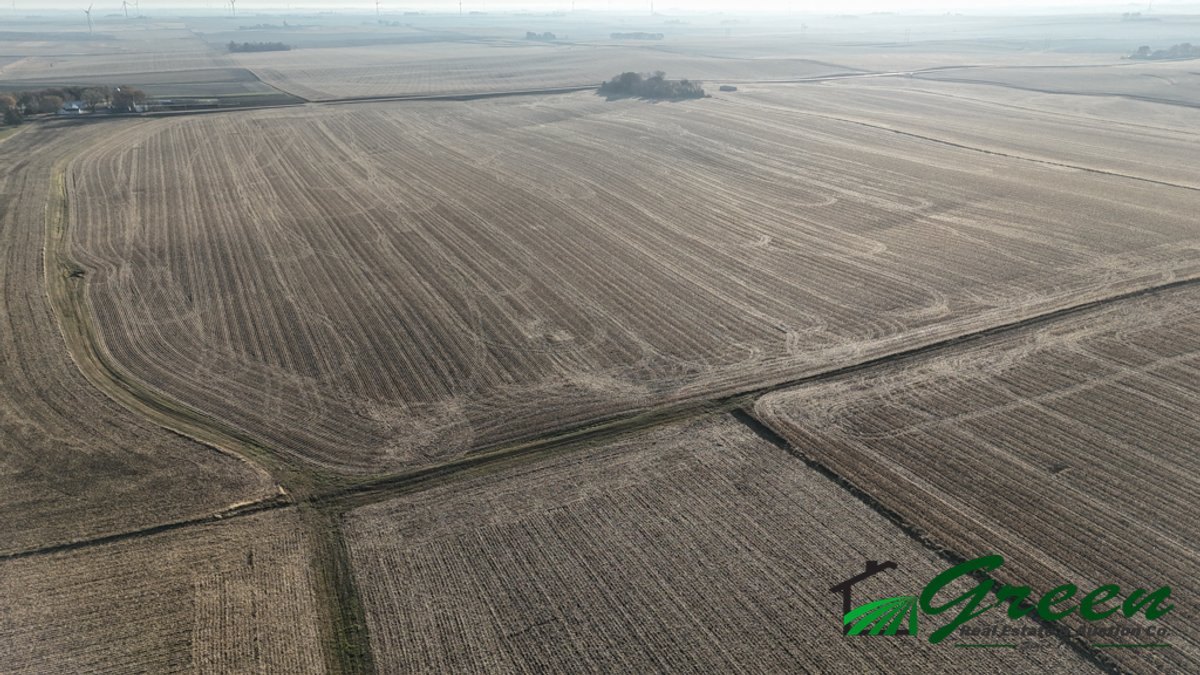 Image for Sac County Online Only Land Auction!