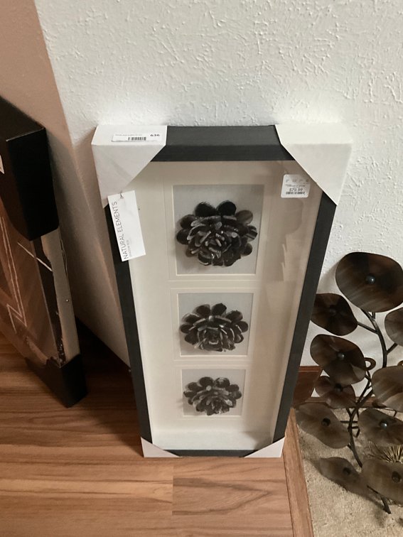 Natural Elements Wall Hanging Décor