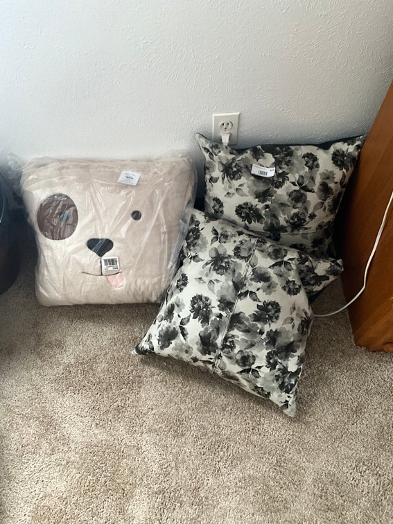 (3) Pillows