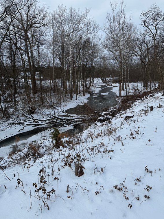 Image for 3829 North Otter Creek Road, Monroe, Michigan 48161