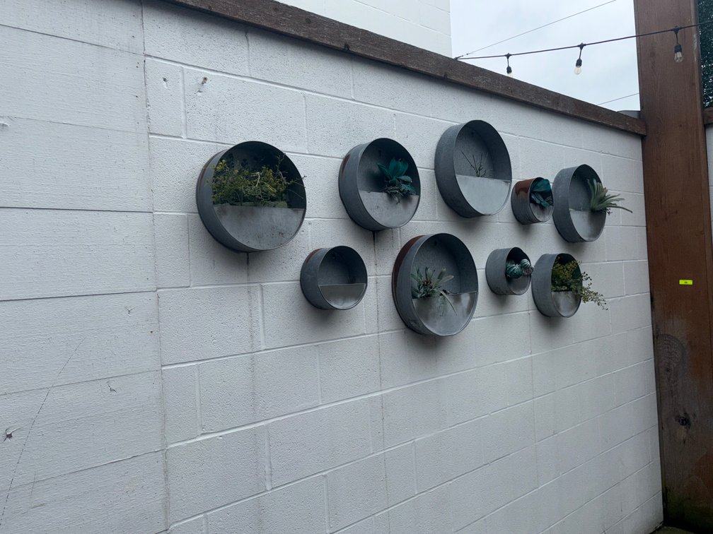 Bar145- Planters and Neon Photo Backdrop