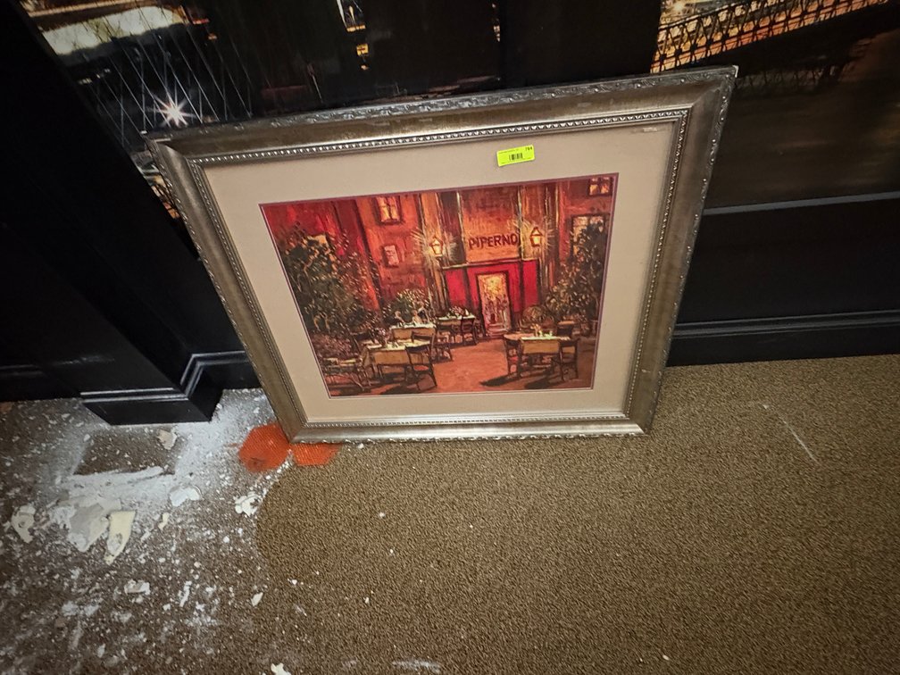 EL- Framed Artwork