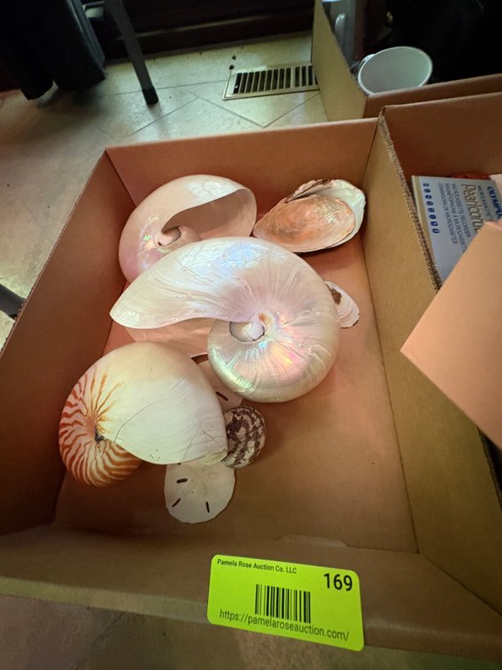 Zone 1-LR- Handbag and Decorative Sea Shells