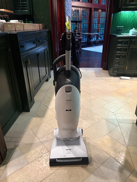 Zone 1-LR- Miele Cat & Dog Upright Vacuum