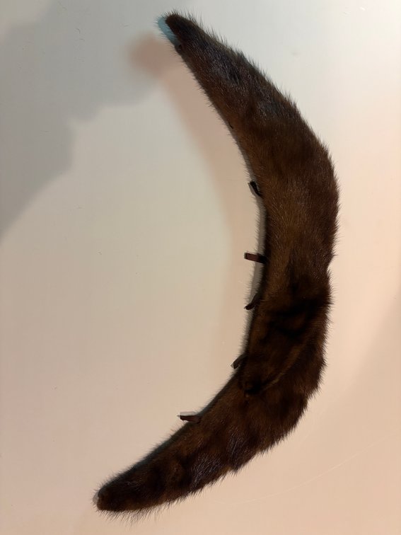 Zone 1-F- Brown Fur Collar Trim
