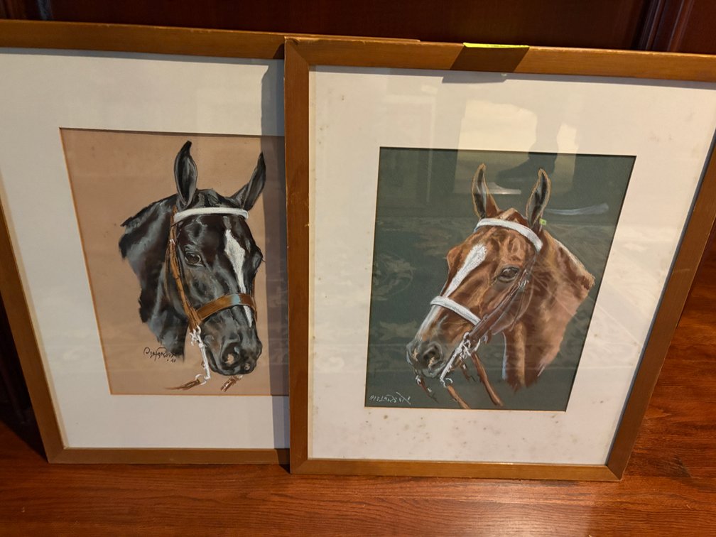 Zone 1-E- Framed Horse Portrait Drawings