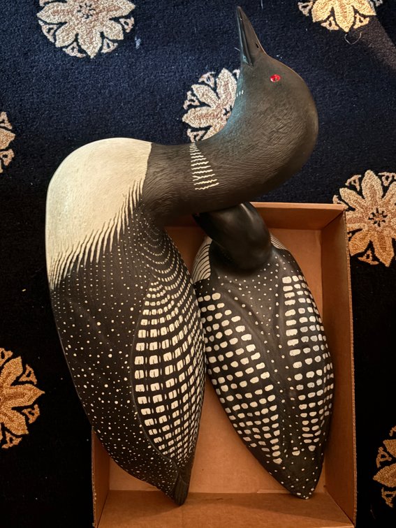 Zone 1-E- Carved Common Loon Decoys