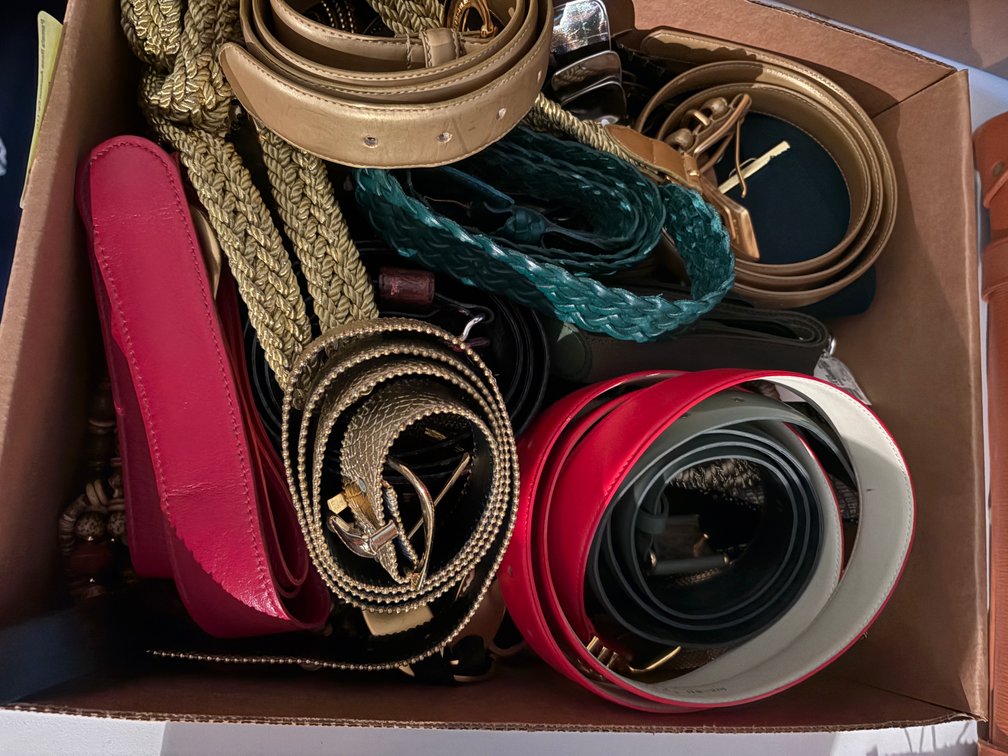 Zone 1-E- Fashion Belts