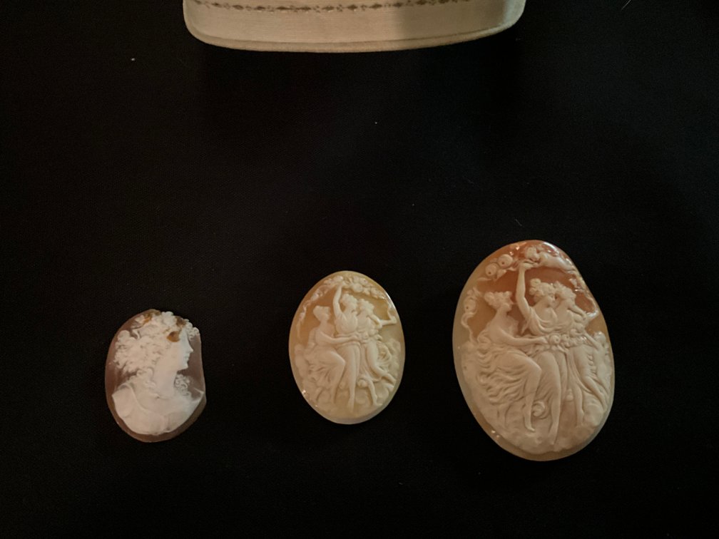 Zone 1-C- Carved Shell Cameos
