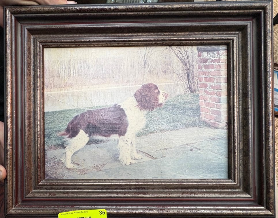 Zone 1-A- Framed English Springer Spaniel Print
