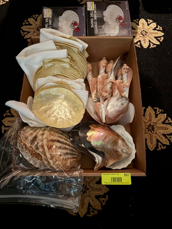 Zone 1-E- Baking Shells and Sea Shells