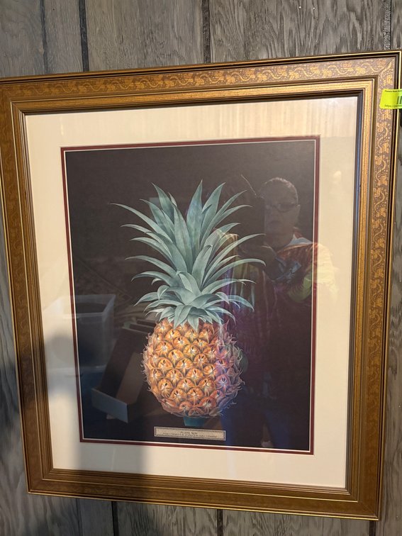 Zone 1-BE- G. Brookshaw Pineapple Botanical Print