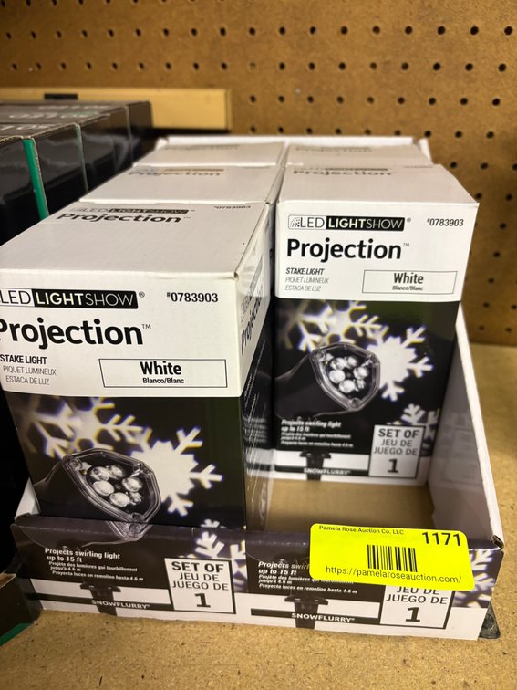 Zone 2-G- LED Lightshow Projection Stake Lights