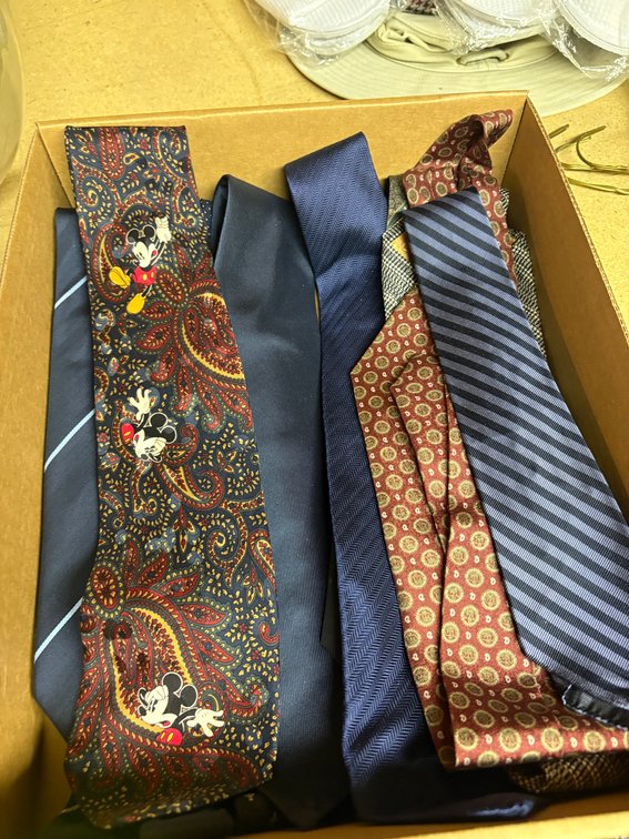 Zone 2-G- Assorted Neckties