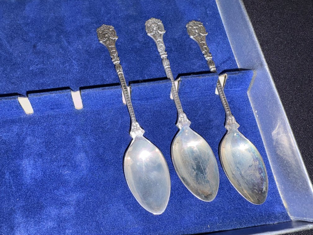 Zone 1-B- Silverplated Ornate Spoons In Fitted Case