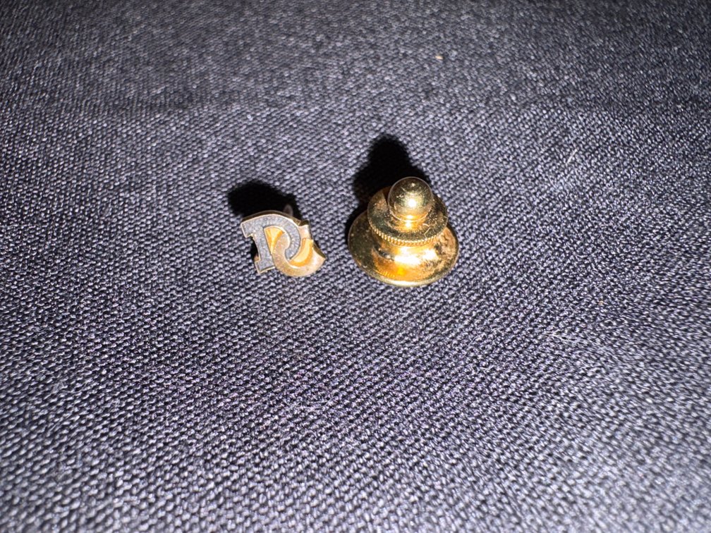 Zone 1-B- 14K Gold Pin