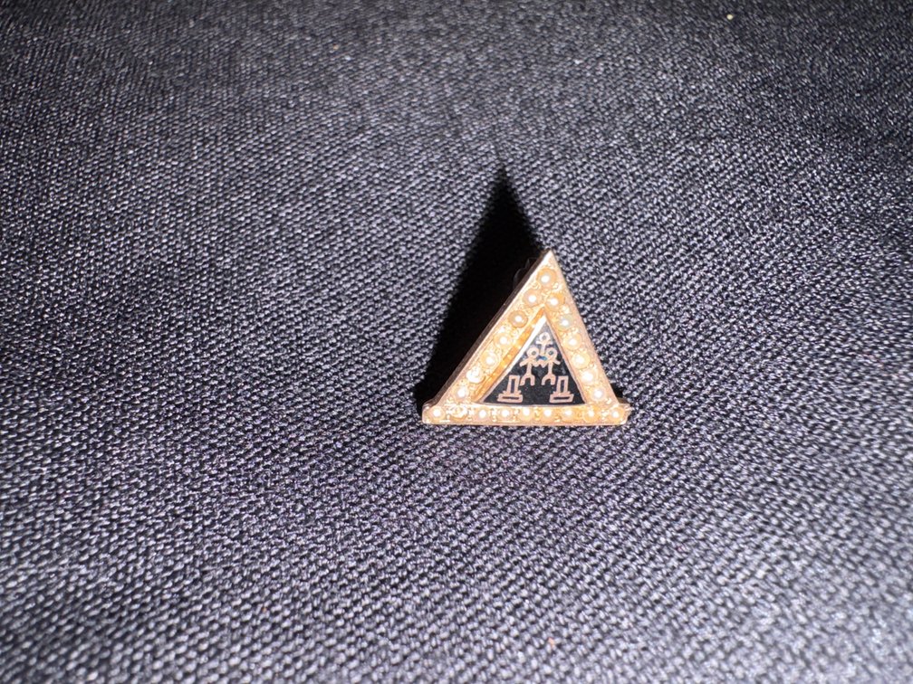 Zone 1-B- 14K Fraternal Pin