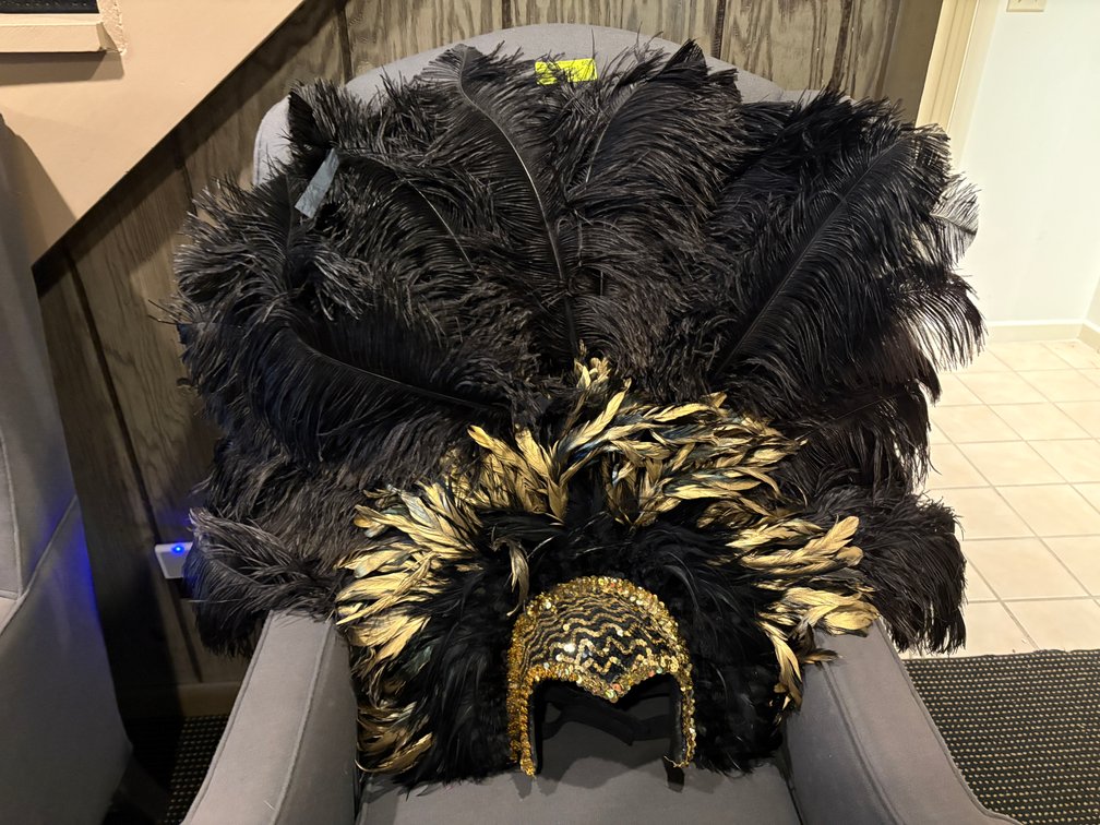 Zone 1-BE- Black Feather Mari Gras Costume Headdress