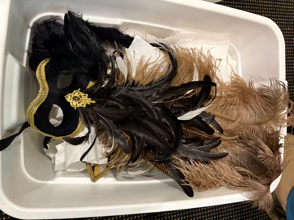 Zone 1-BE- Mari Gras Masks