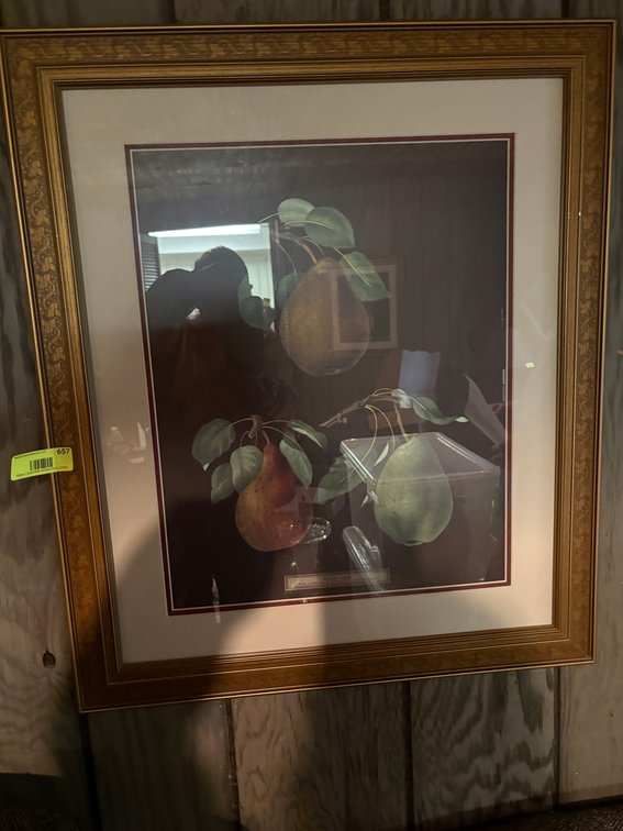 Zone 1-BE- G. Brookshaw Botanical Pear Print