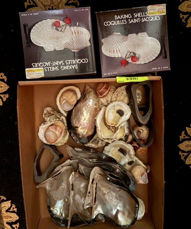 Zone 1-E- Baking Shells and Sea Shells