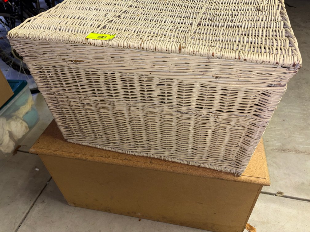 Zone 2-G- Painted Wicker Storage Trunk