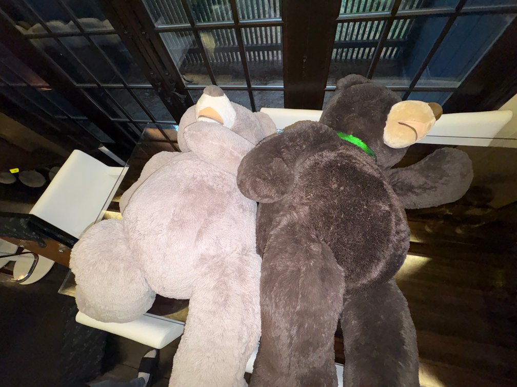 Zone 3-CUP- Two Oversized Plush Teddy Bears